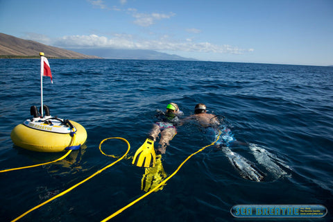 Two Diver Float Unit